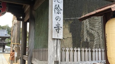 🏯 요다 절(요다지) 이미지 2